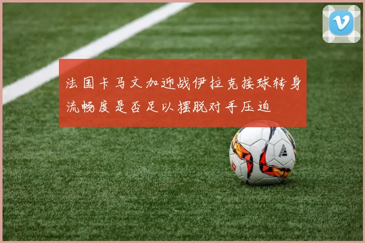 法国卡马文加迎战伊拉克接球转身流畅度是否足以摆脱对手压迫