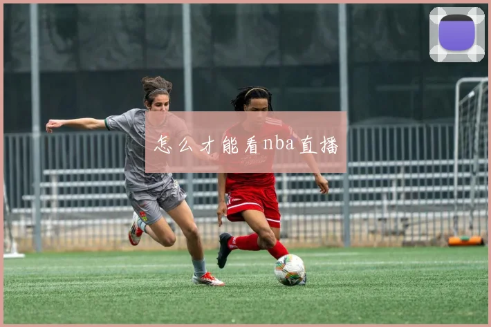 怎么才能看nba直播