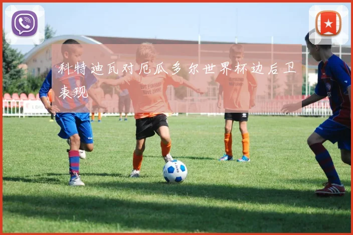 科特迪瓦对厄瓜多尔世界杯边后卫表现