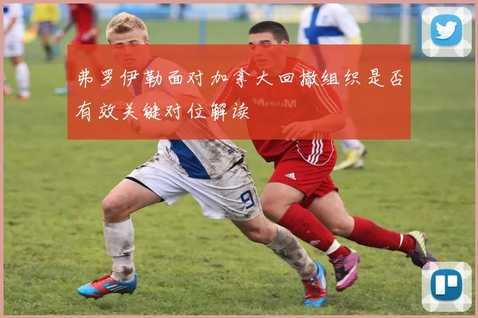 弗罗伊勒面对加拿大回撤组织是否有效关键对位解读