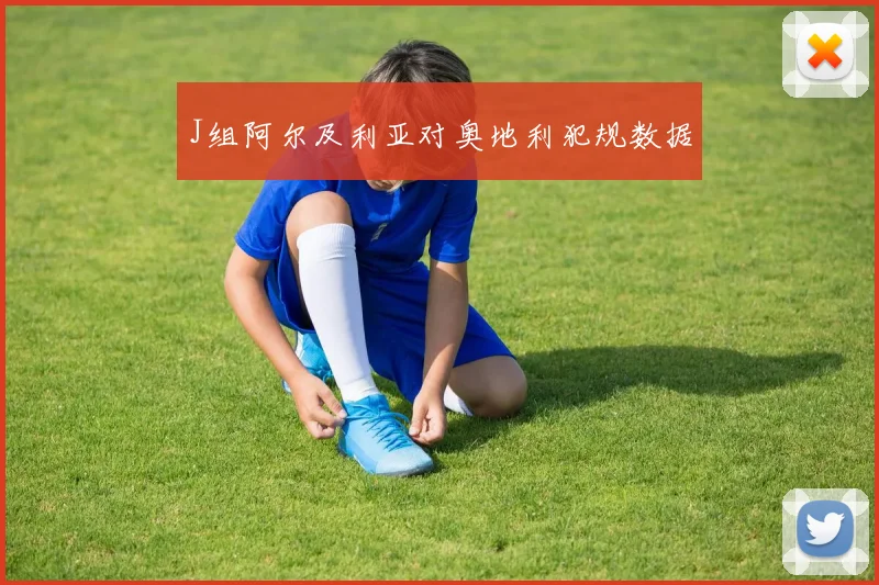J组阿尔及利亚对奥地利犯规数据